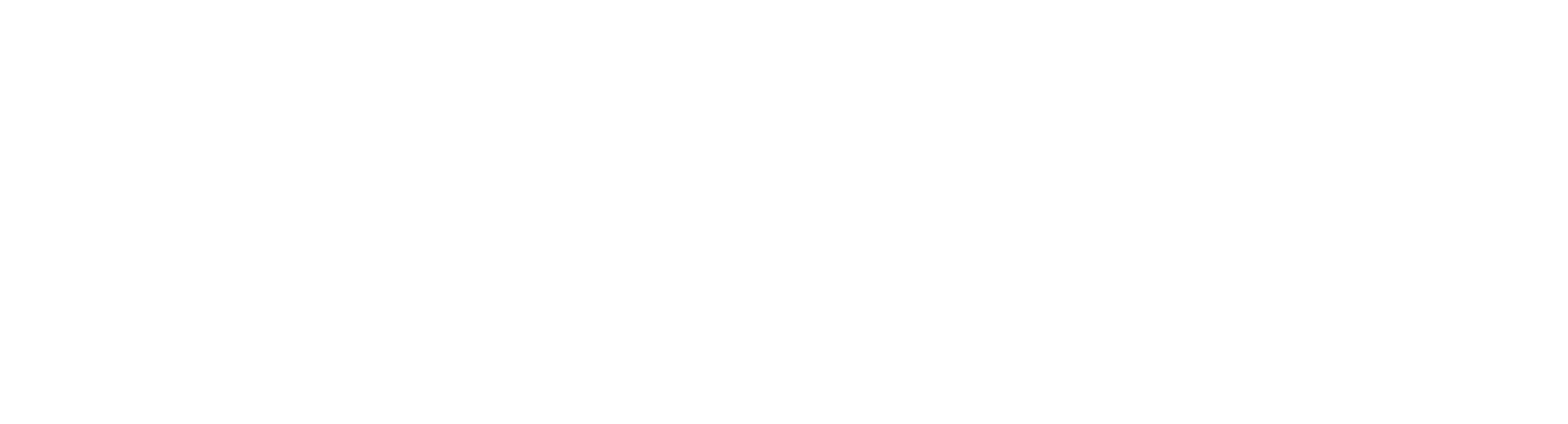 Wave D. Audio Bali